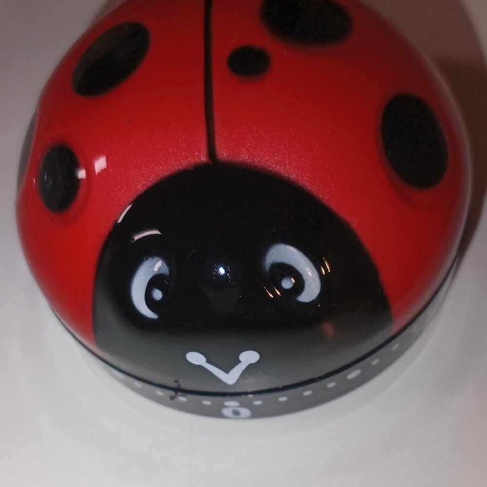 Charming Ladybug Kitchen Timer - Picture 3 of 5